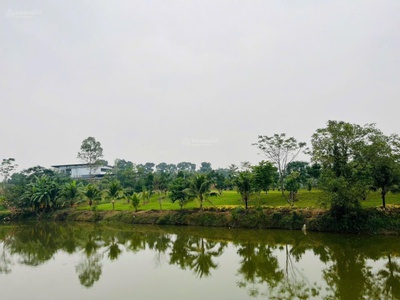 Chính thức mở bán khu đất vàng cực kỳ hấp dẫn 0