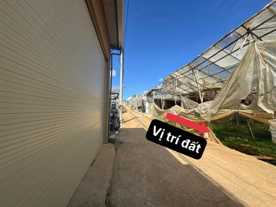 Bán lô đất sổ riêng nông nghiệp tại đà lạt   gần hồ xuân hương, đường ô tô 2