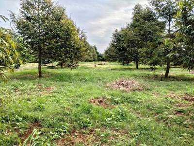 Cơ hội vàng đầu tư   đất mặt tiền tp.hcm  brvt cũ 3