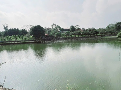 Siêu phẩm đất vàng hòa lạc view hồ không gian nghỉ dưỡng đẳng cấp 1