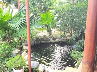 Nhà vườn góc hai mặt tiền đường tại nha trang 3