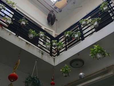 Bán nhà - chính chủ - hoàng hoa thám - bình thạnh - hẻm nhỏ - diện tích lón - chỉ 5.9 tỷ - tl - 45m 0