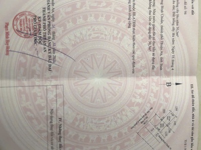 Bán đất sổ riêng mặt tiền đường bình chuẩn   vị trí kinh doanh tốt. 4