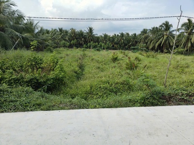 Đất phân lô đầu tư   diện tích lớn   giá tốt tại chợ gạo, tiền giang 1