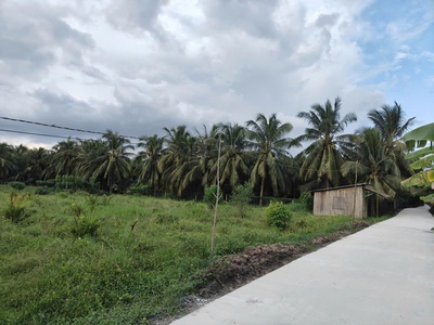 Đất phân lô đầu tư   diện tích lớn   giá tốt tại chợ gạo, tiền giang 0