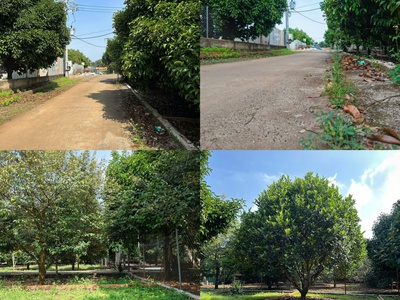 Đón đầu dầu giây đất full thổ cư - 775tr/125m , sổ riêng 3