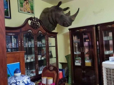 Hiếm niệt thự đẹp 4 tầng mặt phố đường 19-5, 210m2, mặt tiền rộng 10m, vị trí đẹp, kinh doanh, giá 1