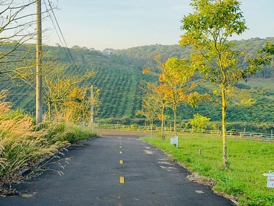 Mua Ngay Đất Hồ Bảo Lộc Tránh Khói Bọi Thành Phố, Giá Từ 1 Tỷ 2 3