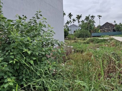 Chính chủ bán đất mặt đường hàng tổng   hải an, hải phòng  giá tốt   kinh doanh thuận lợi 3