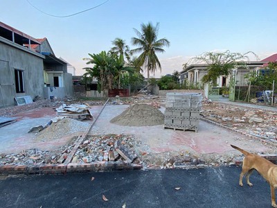 Còn 2 lô liền kề đại trà   đông phương   ngõ nhựa 3,5m   giá tầm tiền hiếm  zalo 0567 222 555 3