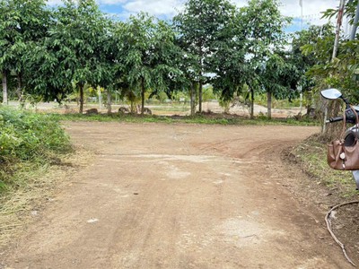 Mở bán đất phân lô siêu rẻ tại khánh hoà 2