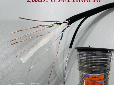 Phân phối Cáp mạng CAT6 ngoài trời UTP - có dây chịu lực gia cường - Outdoor ACT-6LANOD-305BK 0