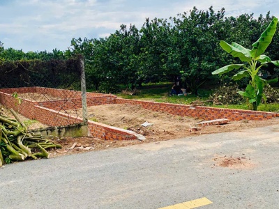 Bán đất vườn bưởi sinh thái tại Trừ Văn Thố   Bàu Bàng   Diện tích 250m    Pháp lý rõ ràng 1