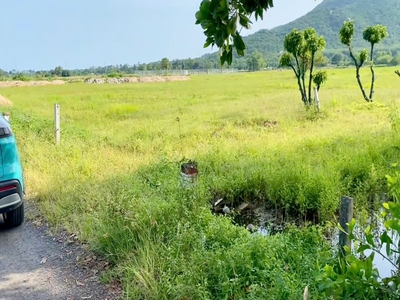 T1885  1873m2 đất long mỹ bà rịa - vũng tàu, shr, hxh, 8.x tỷ 0