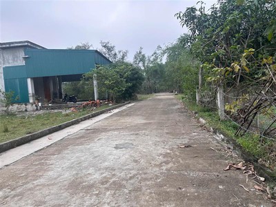 Bán đất tú loan 3, quảng hưng, quảng trạch, quảng bình. 1