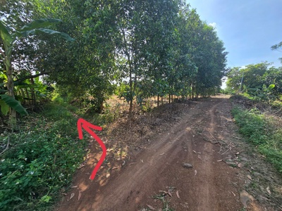 Chủ cần bán gấp 1000mv thống nhất đồng nai 2