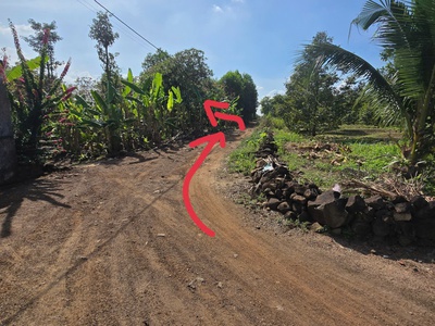 Chủ cần bán gấp 1000mv thống nhất đồng nai 3