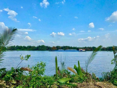 Bán đất vườn view sông vàm cỏ đông   ấp 3, xã thạnh hòa, huyện bến lức, long an 3