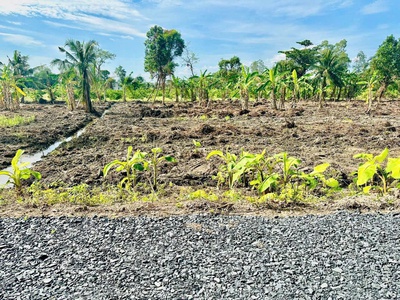 Bán đất vườn view sông vàm cỏ đông   ấp 3, xã thạnh hòa, huyện bến lức, long an 2