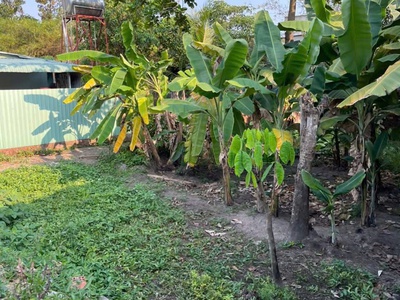 Giá siêu  tốt - chính chủ cần bán nhanh lô đất  vị trí tại thủ đức, thành phố hồ chí minh 2