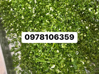 Máy thái hành lá, máy thái rau, máy thái lát tròn, máy thái lát sả cây 2