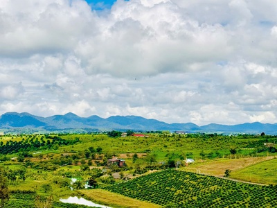 Bán trang trại nghỉ dưỡng view hồ Đăklong Thượng tại Đường Tỉnh lộ 725, Bảo Lâm, 900 triệu, 500 m2. 1