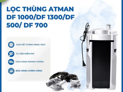 Lọc Thùng Hồ Cá: Mua Rẻ Hay Mua Đúng Mới Quan Trọng 0