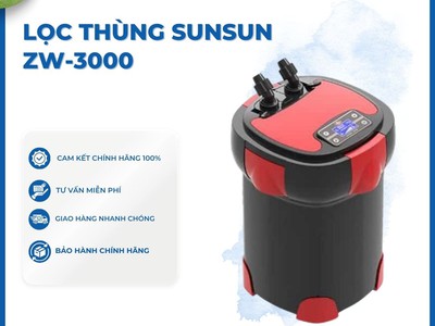 Lọc Thùng Hồ Cá: Mua Rẻ Hay Mua Đúng Mới Quan Trọng 1