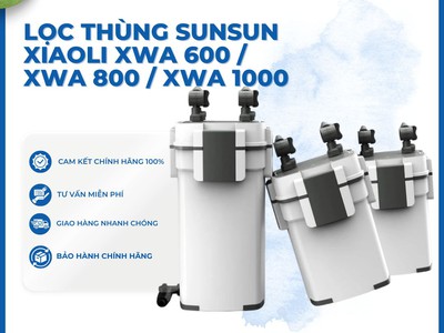 Lọc Thùng Hồ Cá: Mua Rẻ Hay Mua Đúng Mới Quan Trọng 2