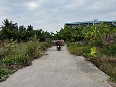 Đất thổ cư 87m  quý kim   hợp đức   đồ sơn  cách đường 353 hơn 100m  giá đầu tư hiếm khu dân cư 0