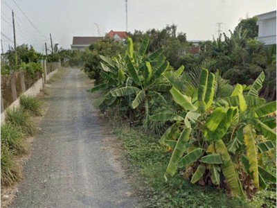 Chính chủ bán gấp 1,554m2 đất mặt tiền ql1a, xã nhị thành, huyện thủ thừa, long an 3