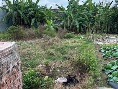 Đất thổ cư 87m  quý kim   hợp đức   đồ sơn  cách đường 353 hơn 100m  giá đầu tư hiếm khu dân cư 4