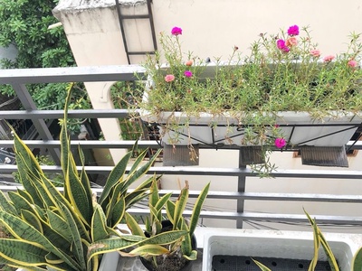 Bán nhà căn góc đ. xóm chiếu - vài bước chân ra mt xe hơi- lưu thông tôn thất thuyết- nguyễn tất 4