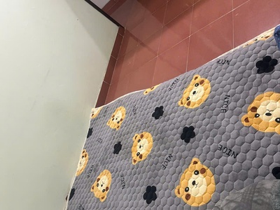 Cho thuê nhà nguyên căn xã đàn 50m x 3 tầng, 3 phòng ngủ, 3 wc, 13 triệu 4