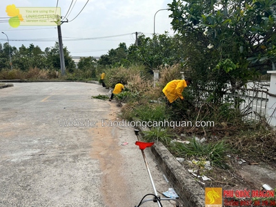 Dịch vụ dọn vườn chuyên nghiệp ở Đồng Nai, Hcm 0