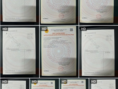 Bán đất thổ cư  2 mặt tiền đường cây dầu - tiếp giáp tái định cư phú hội nhơn trạch đồng nai. 3