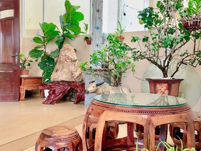 Cho thuê nhà nguyên căn phan chu trinh phường 9 đà lạt giá 22 triệu 3