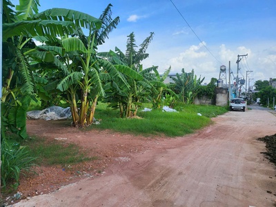 Lô đất đẹp gần chợ đầu mối xuân thới thượng   hóc môn- tphcm 1