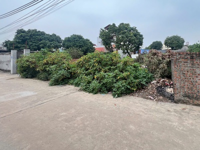 Chính chủ cần bán gấp đất thắng trí minh trí sóc sơn 196m2 m.tiền 6.75m giá 23triệu/m2 2