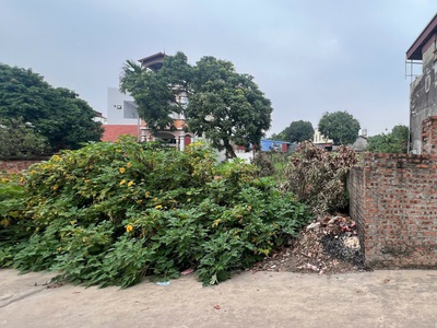 Chính chủ cần bán gấp đất thắng trí minh trí sóc sơn 196m2 m.tiền 6.75m giá 23triệu/m2 3