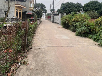 Chính chủ cần bán gấp đất thắng trí minh trí sóc sơn 196m2 m.tiền 6.75m giá 23triệu/m2 4