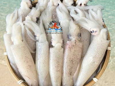 Các Món Ngon Từ Mực Trứng Được Yêu Thích Nhất 0