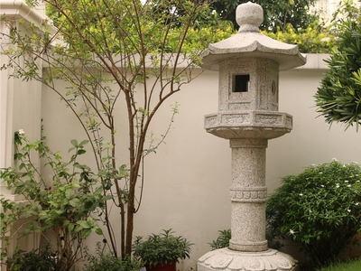 Vườn nhà đẹp   xanh mát quanh năm, dễ chăm sóc và bền vững 1