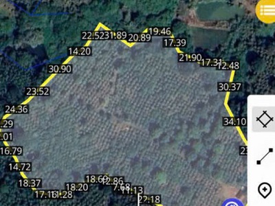 Chuyển đổi hướng kinh doanh cần bán lô đất rẫy đang cho thu nhập ổn định. 0