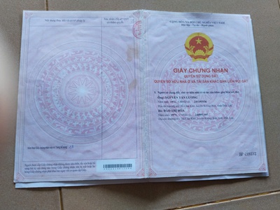 Chuyển đổi hướng kinh doanh cần bán lô đất rẫy đang cho thu nhập ổn định. 1