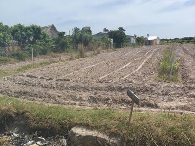 Bán đất tây ninh giá rẻ 3