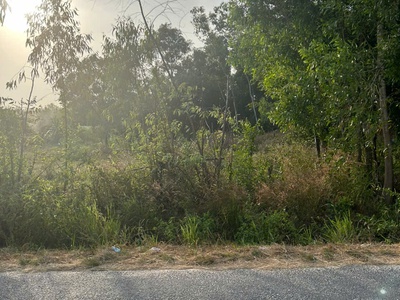 Bán 15m x 40m đất odt mặt tiền cù chính lan, lagi giá rẻ nhất 133 triệu/m ngang 1