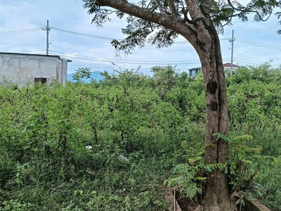 Chính chủ cần bán lô đất tại khu tái định cư phía nam khu nhà vườn hòa ninh, xã bà na, tp. đà nẵng. 3