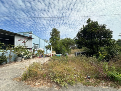 Bán 1000m2 đất sát biển tam tân - hẻm lý thái tổ - lagi giá rẻ nhất 2.5r/m2 1