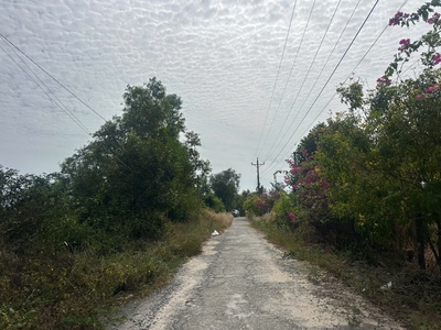 Bán 1000m2 đất sát biển tam tân - hẻm lý thái tổ - lagi giá rẻ nhất 2.5r/m2 4